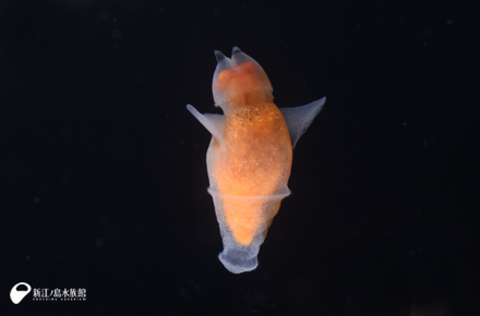 yȊ~Ɂzꂼ`llevel129y߂悤ɂ̂cz [f]ڋ֎~]©2ch.netYouTube>11{ ->摜>297 