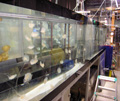 クラゲ生産室