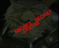 secret？