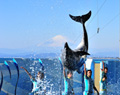 えのすいオリジナル海豚富士
