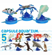 日本水族館立体生物図録 第5巻