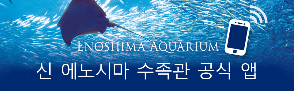 Enoshima Aquarium official app