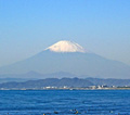 海辺のデッキからの眺め