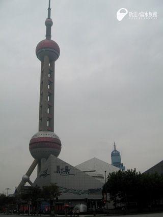 上海海洋水族館