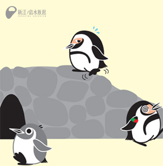 ケープペンギンのジョン