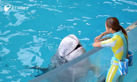 2014 03 16 夢 ドルフィントレーナー 新江ノ島水族館