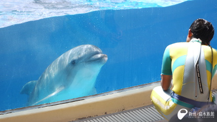 えのすい”イルカ・クジラのペンギン占い | えのすいトリーター日誌