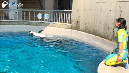 横の姿勢で進んでいるセブン