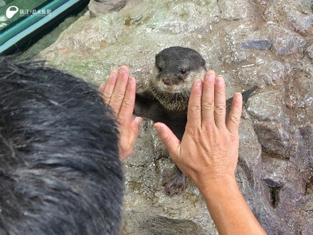 お互いの手でタッチ