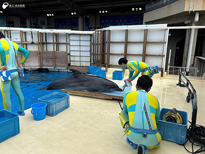 「ミライ」体重測定のようす