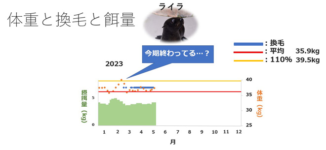 2023年の体重と換毛と給餌量