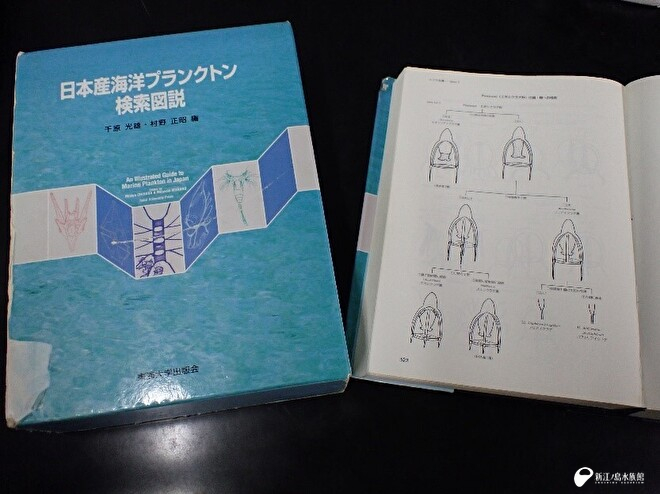 日本産海洋プランクトン検索図説