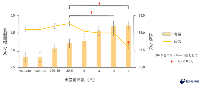 妊娠中のバンドウイルカの体温と乳裂間幅の変化