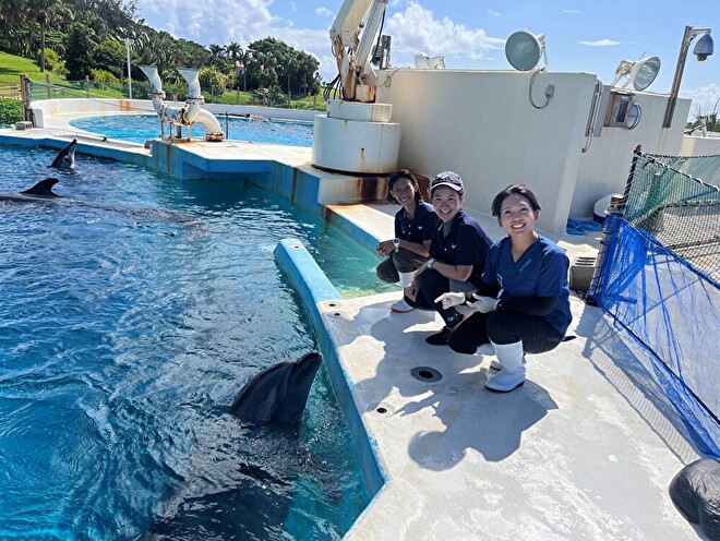 バンドウイルカの「カーヤ」と愛玩動物看護師の高橋沙矢香さん（奥）、中村美里さん（手前）