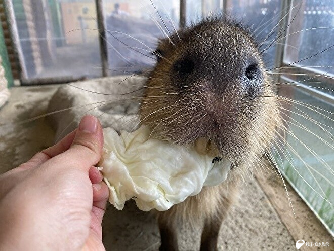 もぐもぐ中の「ココロ」