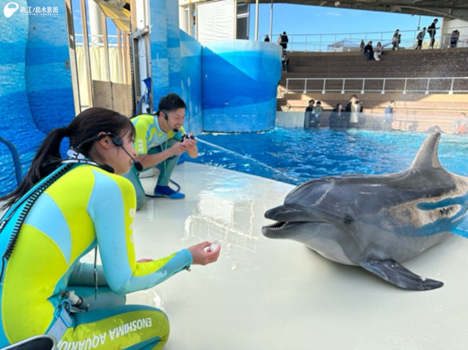 「ミレニー」と遊ぶ永江トリーターと向田トリーター