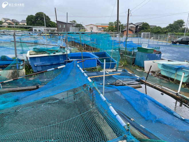 作出に成功した養魚場