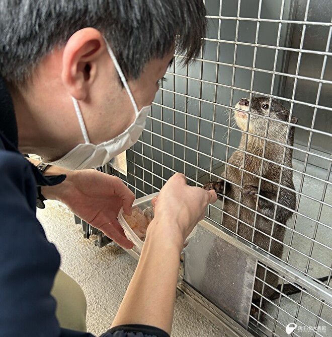 握手だけではなく目まで合わせてくれた「オモチ」