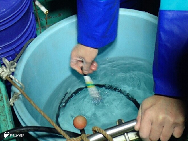水温を測っているようす