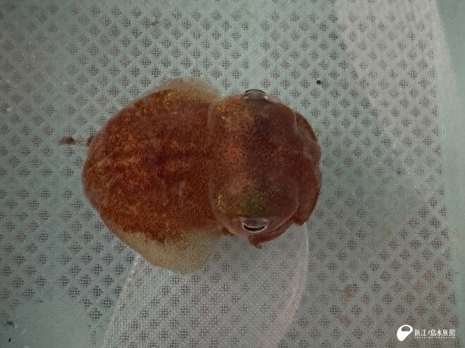 搬入したばかりの時の写真