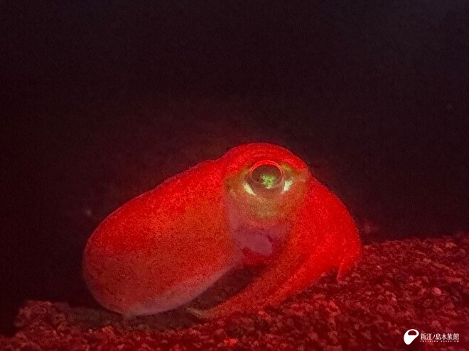 展示での写真