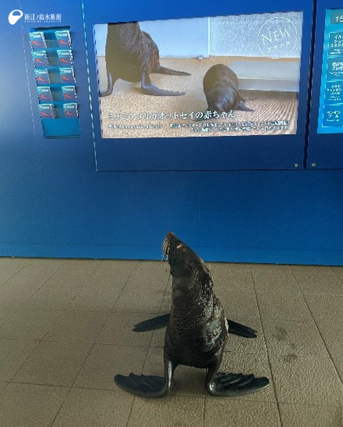 （！？）