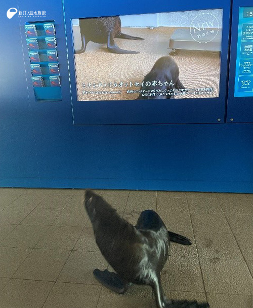 （びっくり！！）