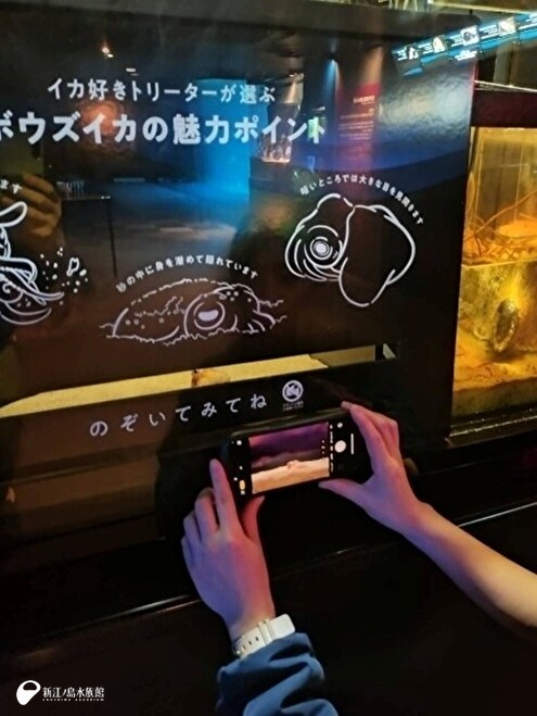 撮っているときの写真