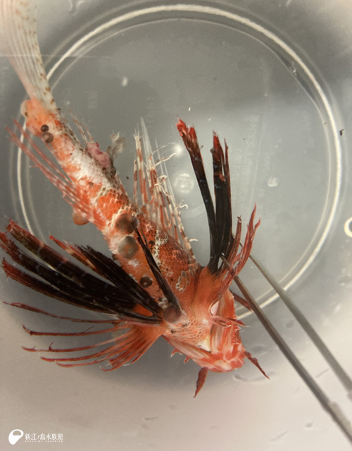 搬入直後の状態