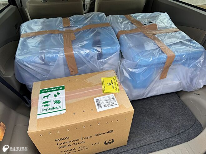 航空貨物便で無事届いた生き物