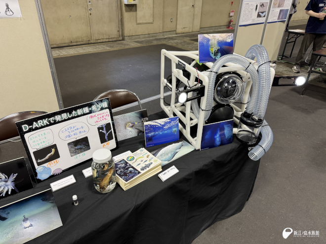 水中ドローンとD-ARKプロジェクトで発見した新種・希少種