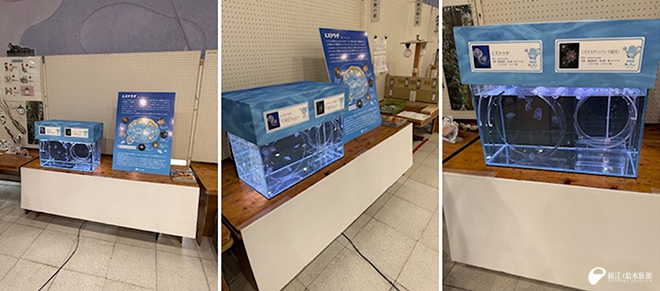藤沢市総合かがく展での展示のようす