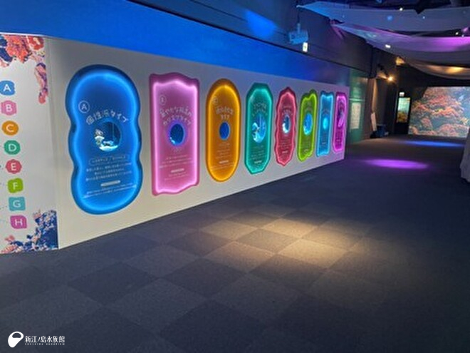 相模湾ゾーン 相模湾大水槽 相模の沖 前