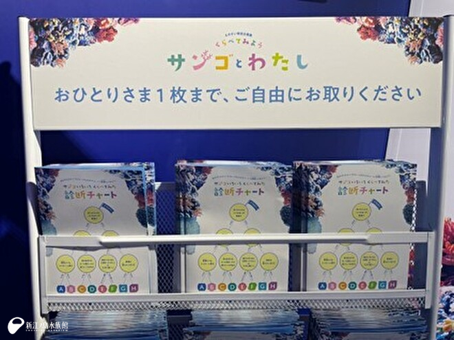 サンゴいろいろくらべてみた 診断チャート