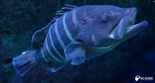 とんとんしたとき