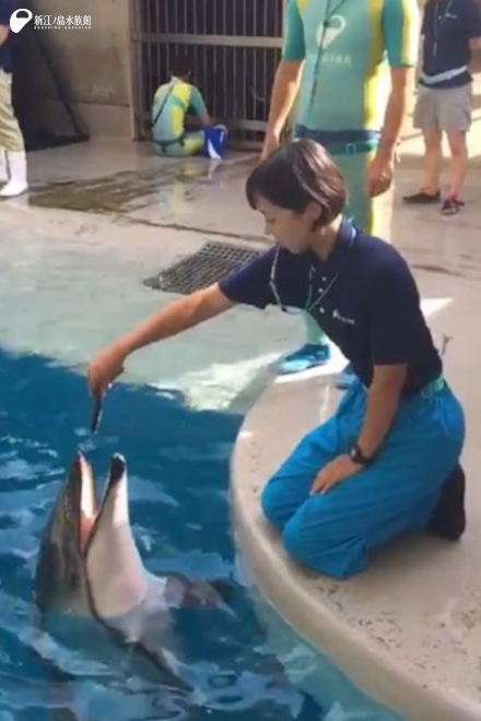 2019年：浦﨑 1年目、クロス 41年目　はじめましての日