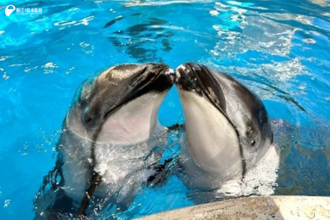 実は練習してできるようになった「セブン」との“チークチーク”