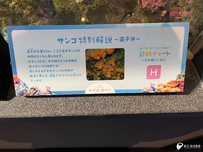 小さな解説パネル