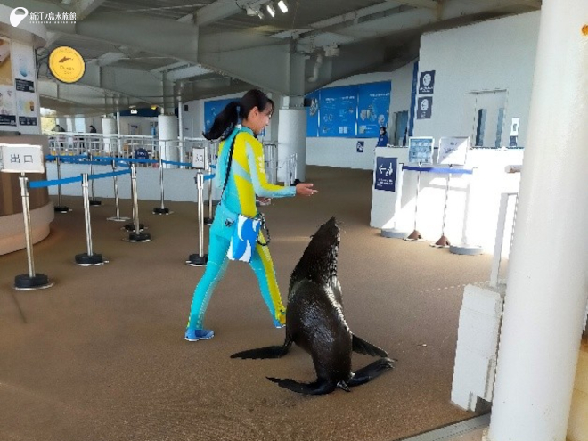 「ムサシ」さんぽ