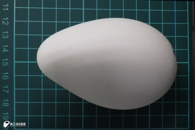 長細い卵型の卵