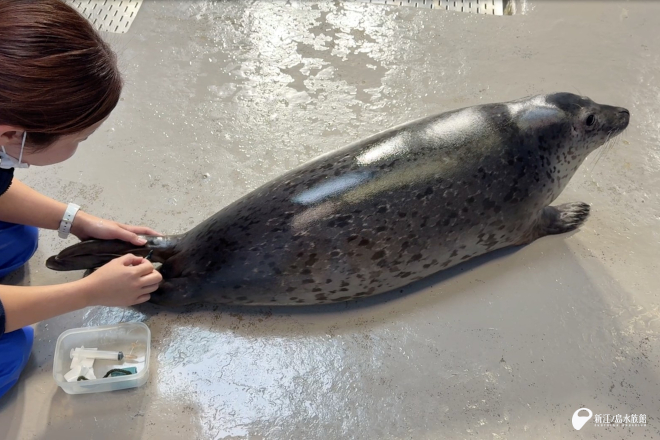 実際の注射針を使った練習にステップアップ