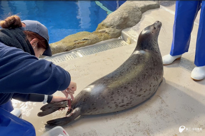 2025年 1月　初めてハズバンダリートレーニングでの採血に成功しました！