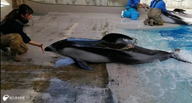 スロープに上がる練習当時