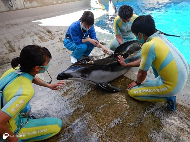 予防注射ができるようになったようす
