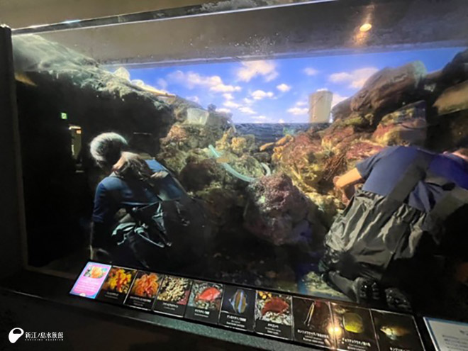 岩をこすって きれいにします