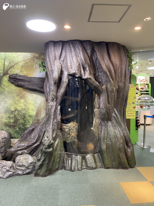 ふれあいエリア