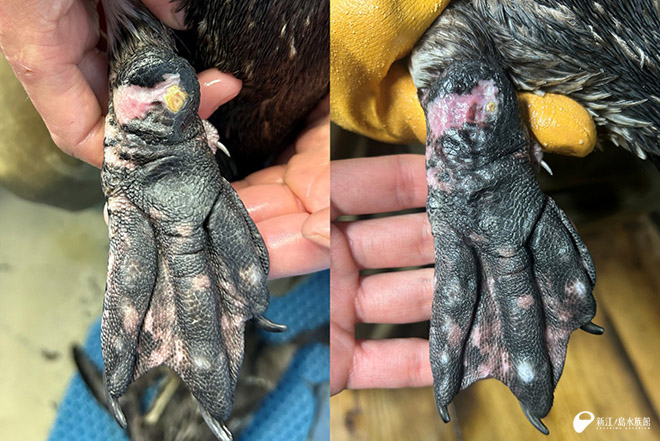 左：2025年 2月、 右：2026年 2月