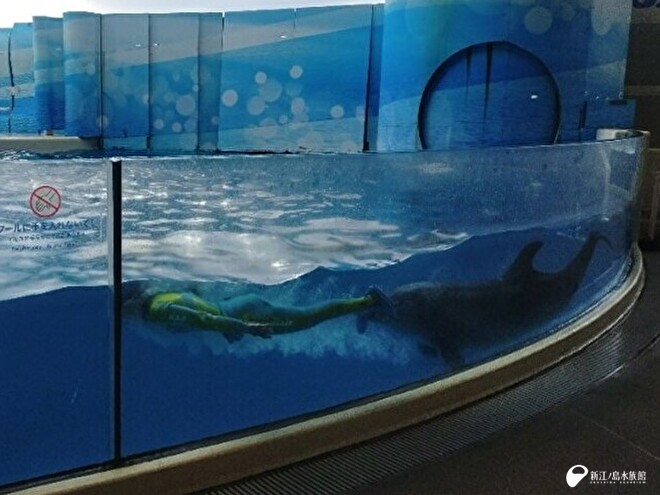 「リン」との水中のようす