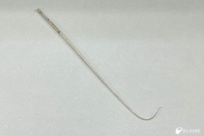 ウミエラの骨軸