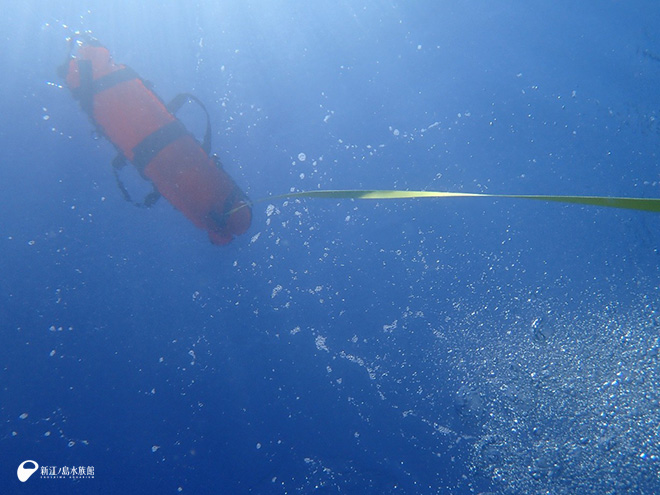 水面を進むブイと GPS